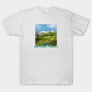 San Juan National Forest, Colorado T-Shirt